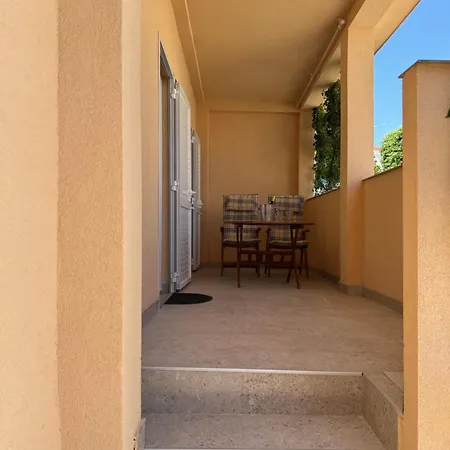 Binka 돈제페트레케인