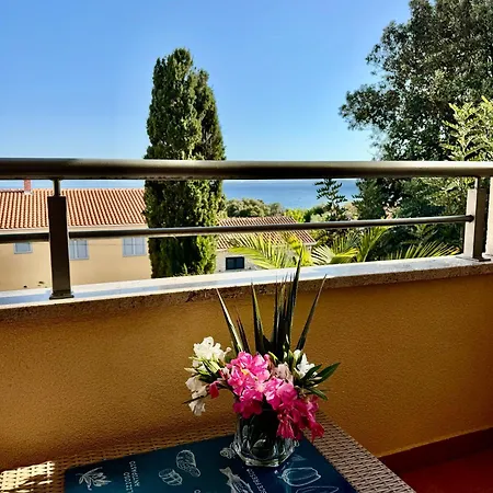 Binka Apartman Petrčane