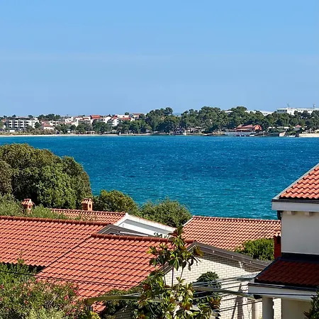 Binka * 돈제페트레케인