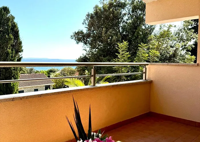 Daire Binka